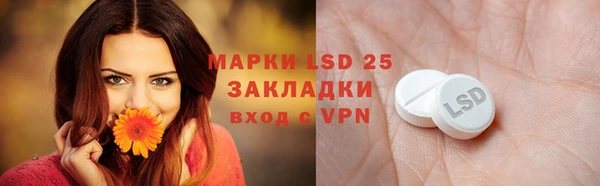 ПСИЛОЦИБИНОВЫЕ ГРИБЫ Верхнеуральск